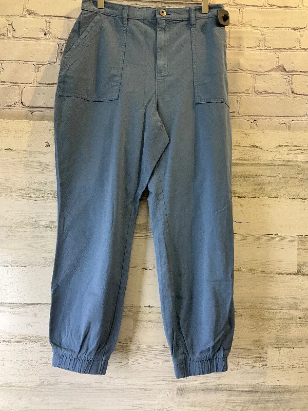 Luxury Comfort Blue Pants Cargo & Utility Style And Company, Size 10